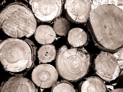 asesoramiento ambiental