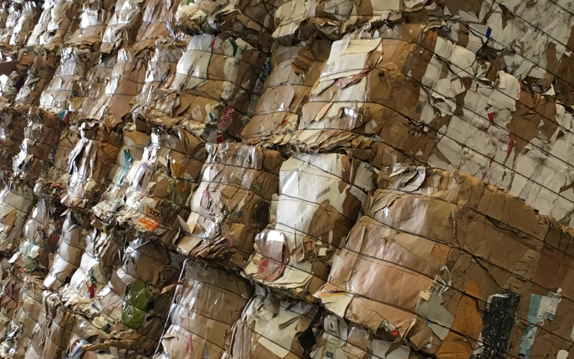 reciclaje de cartón